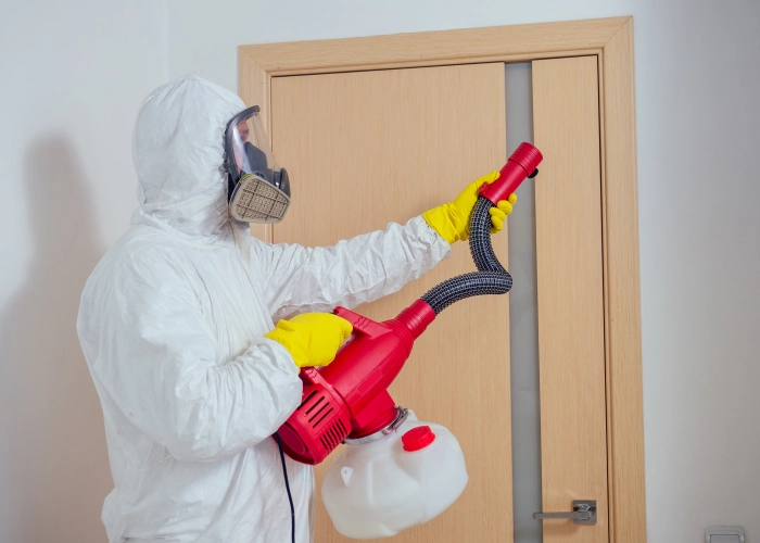 Traitement punaise de lit Uetikon am See – Tarifs transparents 8707 Zurich