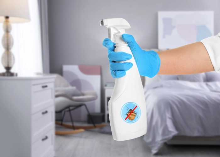 Traitement punaise de lit Saignelégier – Tarifs transparents 2350 Jura