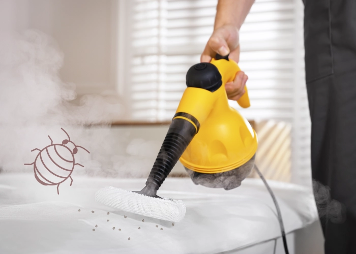 Traitement punaise de lit Buix – Tarifs transparents 2925 Jura